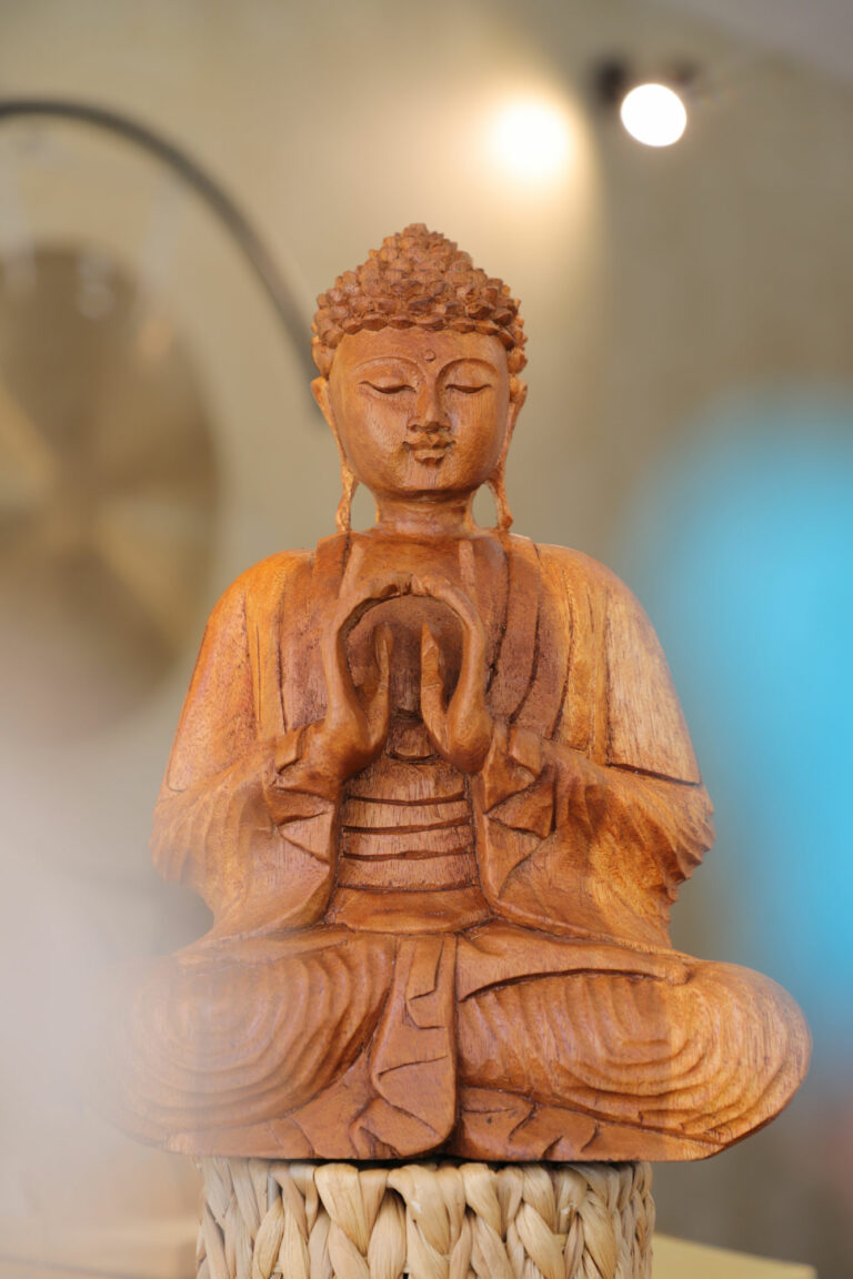 Boudha_au_coeur_de_gaïa